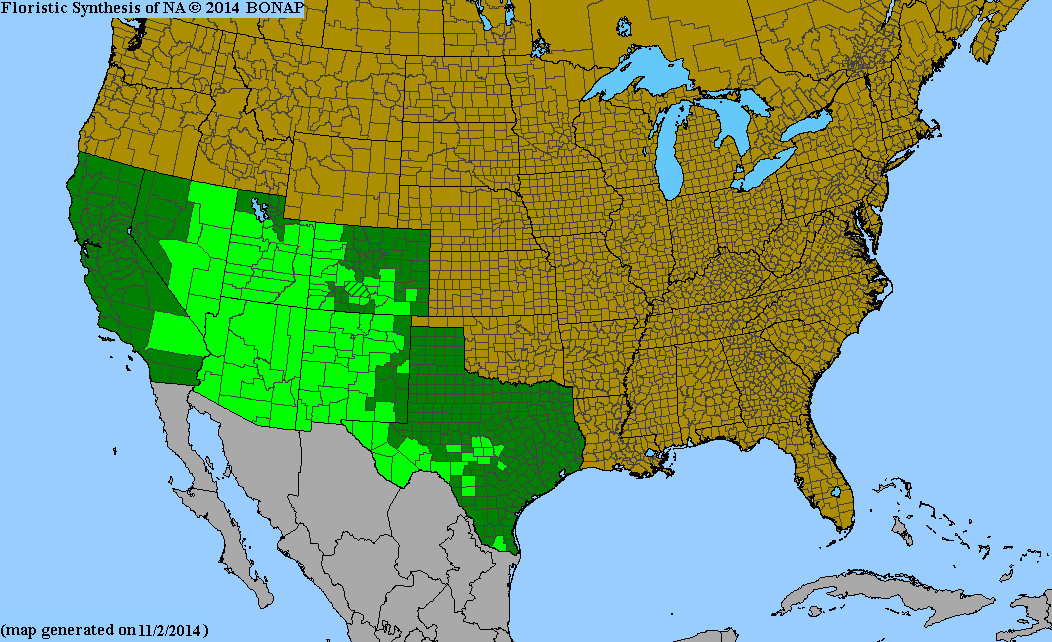 County distribution map of Echinocereus coccineus var. coccineus - Scarlet Hedgehog Cactus